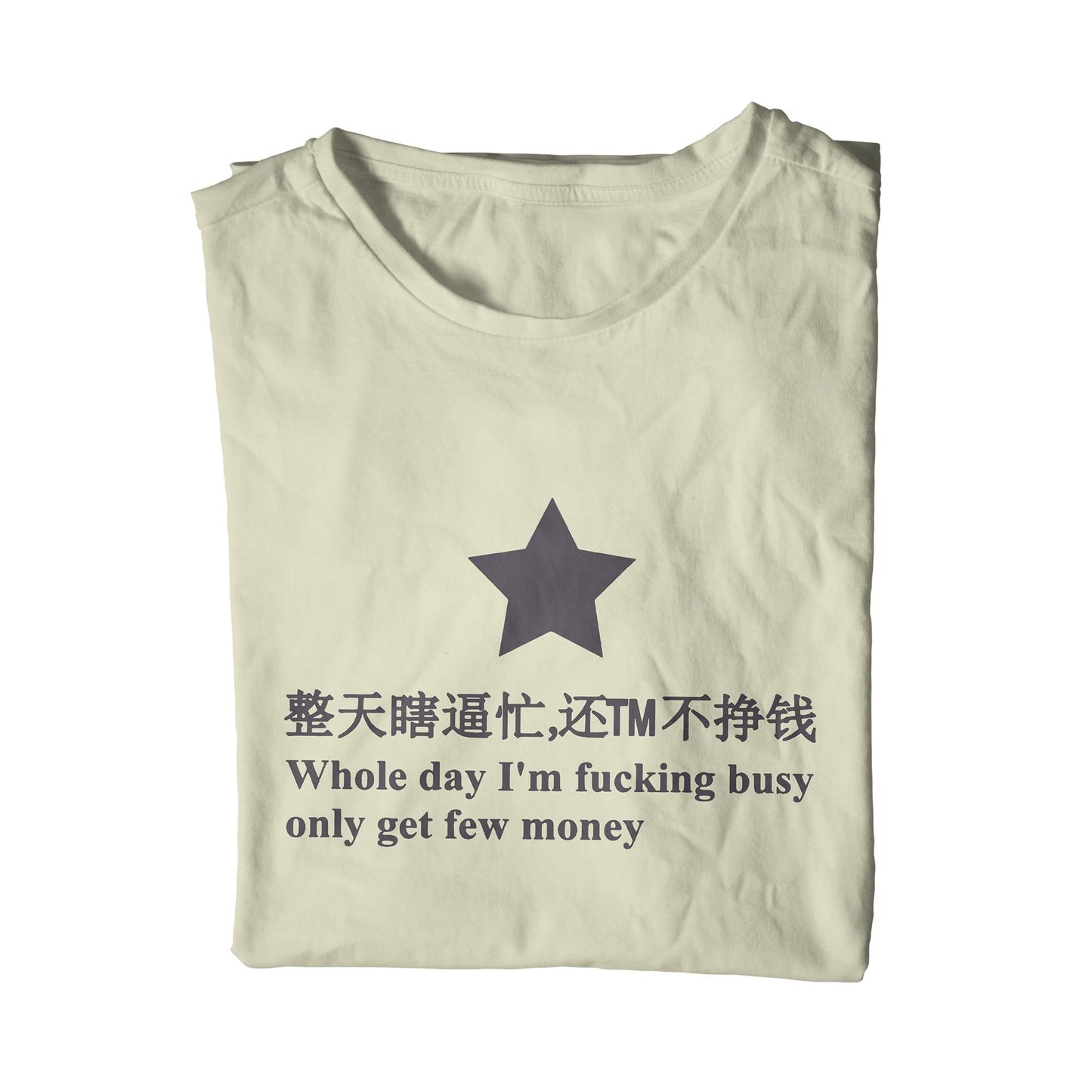 Whole Day I'm Fucking Busy Only Get Few Money Star Unisex T-Shirt